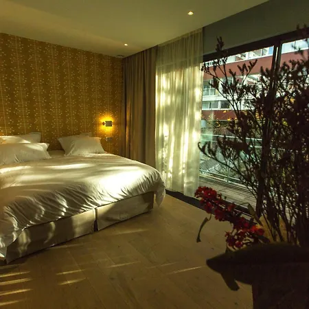 Bed & Breakfast Eden